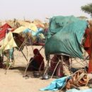 Millions of women and girls forced to flee face high risk of gender-based violence: UNHCR