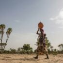 What’s desertification? Experts hopeful devastating trend can be reversed