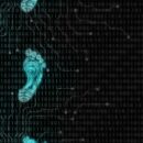 Digital Footprint Vs. Social Presence: Finding The Right Balance