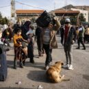 Syria crisis: ‘Key priority’ is preserving evidence of crimes, say UN investigators