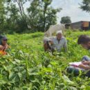 Meet the ‘Land Heroes’ who are fighting desertification