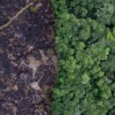 Landmark climate change hearings represent largest ever case before world court