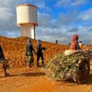 Holding the front line against desertification