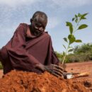 Three billion people globally impacted by land degradation