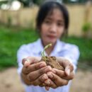 The climate crisis: 5 things to watch out for in 2025