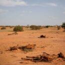 The ‘slow onset, silent killer:’ Droughts explained