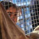 Only 3 per cent of UN emergency food aid getting to desperate Gazans