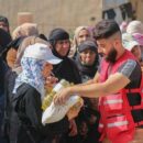 Lebanon: Food insecurity deepens following conflict, new report reveals