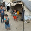 Gaza: ‘Every day without a ceasefire will bring more tragedy’