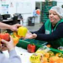 Economic recovery is losing steam, warns UN labour agency