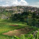 DR Congo crisis: WFP condemns looting in Bukavu after M23 rebels take key city