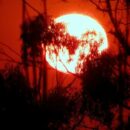 It’s official: January was the warmest on record