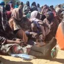 Conflict has turned parts of Sudan ‘into a hellscape,’ Security Council hears