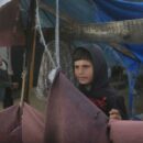 Gaza: Despite challenges, UNRWA says ‘unparalleled progress’ made during ceasefire