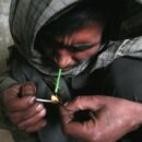 Afghanistan: Opium prices approach historic peaks, crime syndicates benefit