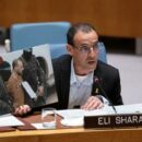 Gaza: ‘Bring them all home now’, freed hostage tells Security Council