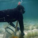 Bahrain’s pearling legacy: Reviving a millennia-old culture