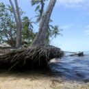Oceans of opportunity squeezed dry by unsustainable use