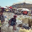 ‘Haiti’s survival is at stake,’ says UN expert, warning of worsening crisis