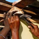 Haiti reaches ‘yet another crisis point’ as gangs tighten their grip