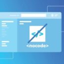 The Role Of Citizen Developers In Transforming L&D With No-Code Tools
