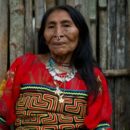 Indigenous Peoples sidelined in global climate fight, UN warns
