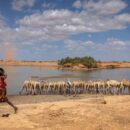Hunger stalks Ethiopia as UN aid agency halts support amid funding cuts