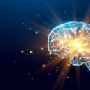 Game-Based Learning Isn't Just Fun—It's Neurologically Aligned