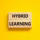 Why Lifelong Learning Platforms Matter