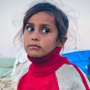 Gaza: UN agencies reject Israeli plan to use aid as ‘bait’