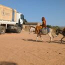 Another year, another rise in food insecurity – including famine