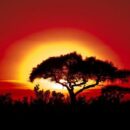 Climate change takes increasingly extreme toll on African countries