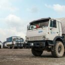 World News in Brief: Sudan aid update, child migrant deaths at sea, nursing shortages, invasive pest scourge