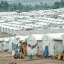 World News in Brief: Education suffers amid DR Congo violence, WHO greenlights RSV vaccines, more hurricanes ahead for Haiti