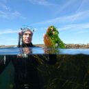 Green gold beneath the waves: How seaweed – and one man’s obsession – could save the world