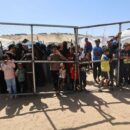 Gaza: Guterres urges probe into killings at food distribution sites