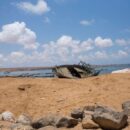 At least eight die in Red Sea tragedy as smugglers force migrants overboard