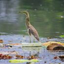 World Environment Day: UN sounds alarm on plastic pollution crisis