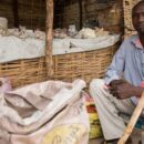 Central Africa at a crossroads amid rising tensions and instability