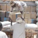 Sudan emergency: We need more help to prevent famine, says WFP