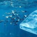 Global push to end plastic pollution gains ground in Nice