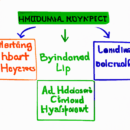 Blended Learning: A Hybrid Approach to Education