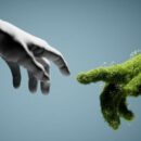 Nature-Based Solutions: Building Climate Competence With Immersive Learning