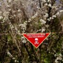 Adhering to bans on mines only in peace time will not work: UN rights chief