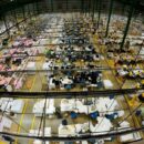 UN-backed labour standards at risk as tariff uncertainty grows