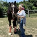 World Horse Day: Honoring humanity’s oldest and most loyal companion