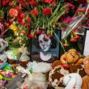 Ukraine: Civilians under fire in record numbers as attacks surge