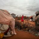 Droughts are causing record devastation worldwide, UN-backed report reveals