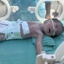Gaza: More deaths reported as starvation spreads