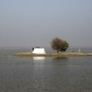 Pakistan reels under monsoon deluge as death toll climbs